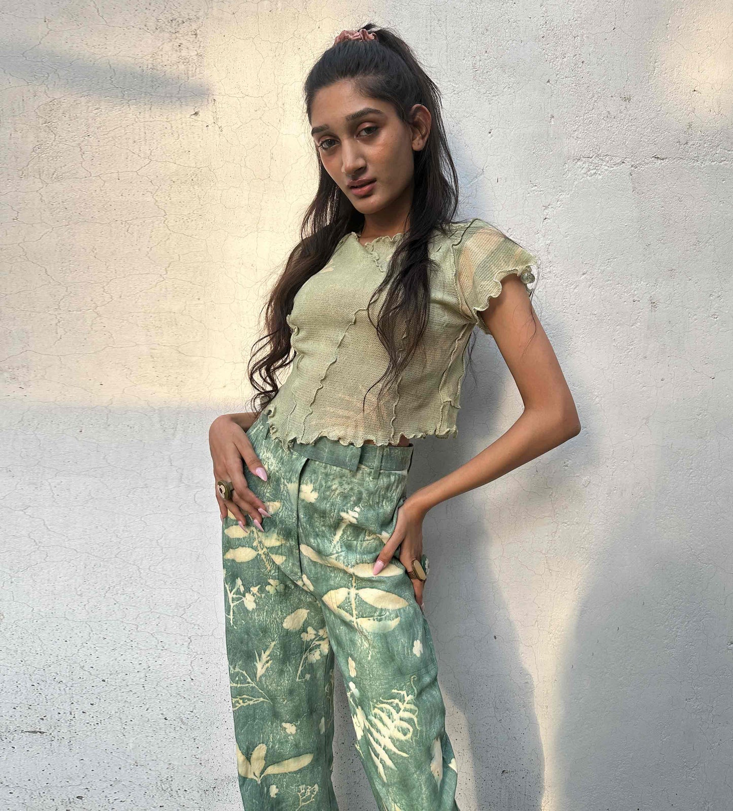 Fern