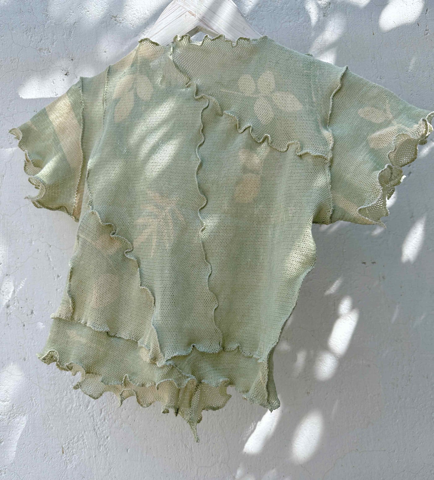 Fern ii