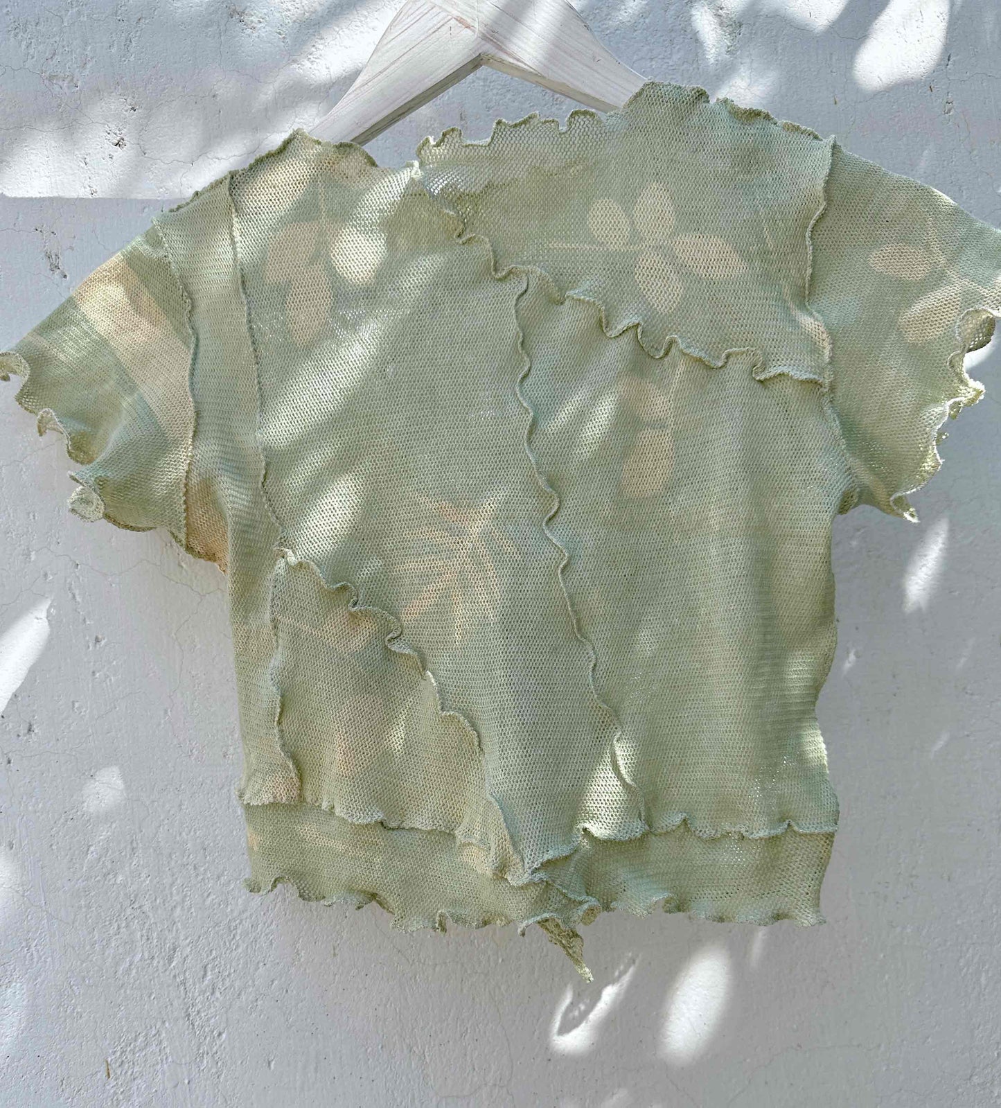 Fern ii